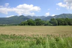 KONICA MINOLTA DIGITAL CAMERA