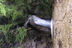 KONICA MINOLTA DIGITAL CAMERA