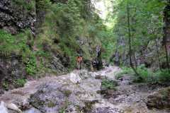 KONICA MINOLTA DIGITAL CAMERA