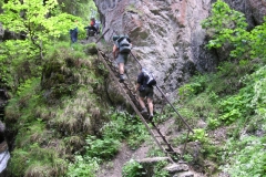 KONICA MINOLTA DIGITAL CAMERA