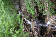 KONICA MINOLTA DIGITAL CAMERA