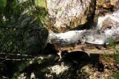 KONICA MINOLTA DIGITAL CAMERA