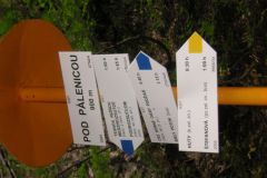 KONICA MINOLTA DIGITAL CAMERA