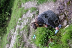 KONICA MINOLTA DIGITAL CAMERA