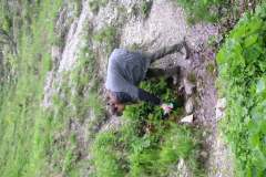 KONICA MINOLTA DIGITAL CAMERA