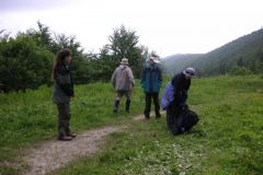 KONICA MINOLTA DIGITAL CAMERA