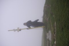 KONICA MINOLTA DIGITAL CAMERA