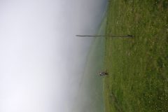 KONICA MINOLTA DIGITAL CAMERA