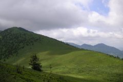 KONICA MINOLTA DIGITAL CAMERA