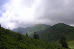 KONICA MINOLTA DIGITAL CAMERA