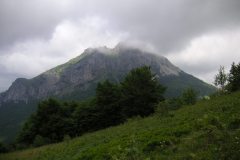 KONICA MINOLTA DIGITAL CAMERA