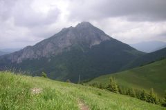 KONICA MINOLTA DIGITAL CAMERA