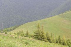 KONICA MINOLTA DIGITAL CAMERA