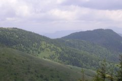 KONICA MINOLTA DIGITAL CAMERA