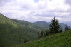 KONICA MINOLTA DIGITAL CAMERA