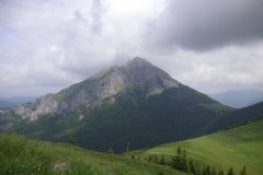 KONICA MINOLTA DIGITAL CAMERA