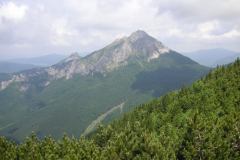 KONICA MINOLTA DIGITAL CAMERA