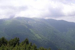 KONICA MINOLTA DIGITAL CAMERA