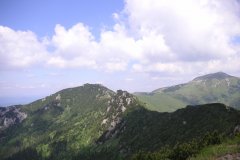 KONICA MINOLTA DIGITAL CAMERA