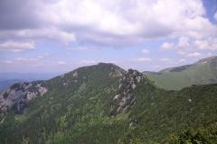 KONICA MINOLTA DIGITAL CAMERA