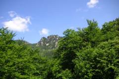 KONICA MINOLTA DIGITAL CAMERA