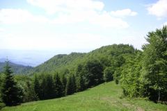 KONICA MINOLTA DIGITAL CAMERA