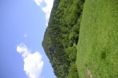 KONICA MINOLTA DIGITAL CAMERA