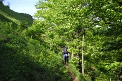 KONICA MINOLTA DIGITAL CAMERA