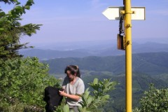 KONICA MINOLTA DIGITAL CAMERA