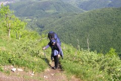 KONICA MINOLTA DIGITAL CAMERA