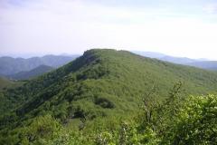 KONICA MINOLTA DIGITAL CAMERA