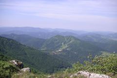 KONICA MINOLTA DIGITAL CAMERA