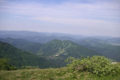 KONICA MINOLTA DIGITAL CAMERA