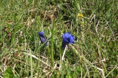 KONICA MINOLTA DIGITAL CAMERA