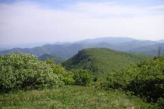 KONICA MINOLTA DIGITAL CAMERA