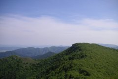 KONICA MINOLTA DIGITAL CAMERA