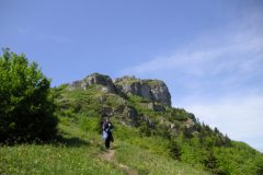 KONICA MINOLTA DIGITAL CAMERA