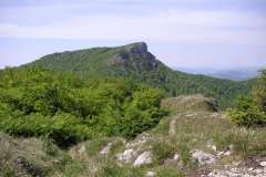 KONICA MINOLTA DIGITAL CAMERA