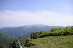 KONICA MINOLTA DIGITAL CAMERA