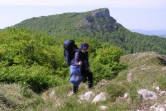 KONICA MINOLTA DIGITAL CAMERA