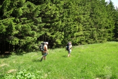 KONICA MINOLTA DIGITAL CAMERA