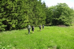 KONICA MINOLTA DIGITAL CAMERA