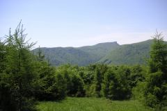 KONICA MINOLTA DIGITAL CAMERA