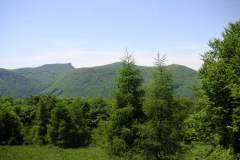 KONICA MINOLTA DIGITAL CAMERA