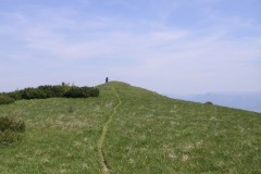 KONICA MINOLTA DIGITAL CAMERA