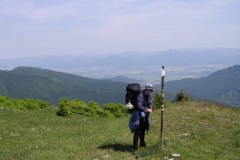 KONICA MINOLTA DIGITAL CAMERA