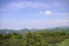 KONICA MINOLTA DIGITAL CAMERA