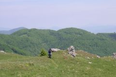 KONICA MINOLTA DIGITAL CAMERA