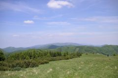 KONICA MINOLTA DIGITAL CAMERA