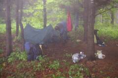 KONICA MINOLTA DIGITAL CAMERA